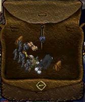 Peering into the pack of Martoo, we can see the original Blackrock
a black-dyed fragment of the gem of imortality
